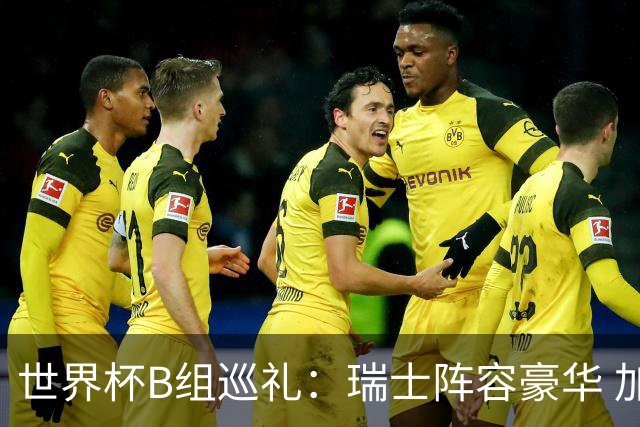 世界杯B组巡礼：瑞士阵容豪华 加拿大主场优势明显