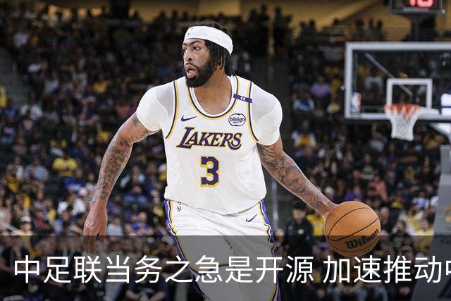 中足联当务之急是开源 加速推动中国足球职业化