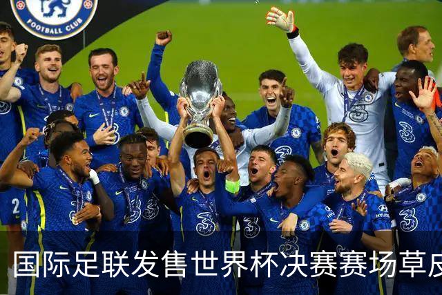 国际足联发售世界杯决赛赛场草皮 450美元一份