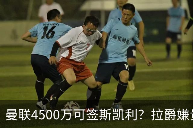 曼联4500万可签斯凯利？拉爵嫌贵已拒绝！但红魔仍未放弃追求霍尔