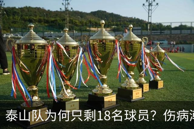泰山队为何只剩18名球员？伤病潮是借口，济南文旅摆烂是主因