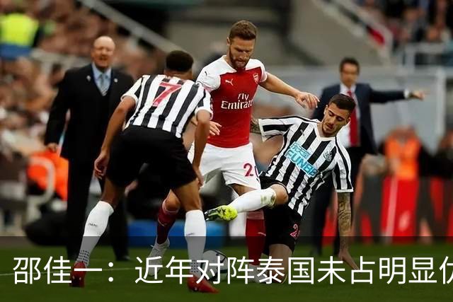 邵佳一：近年对阵泰国未占明显优势 国家队无友谊赛